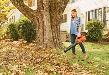 yard cleaning 2 cfe90c01 8527 4d0f 9c7d d133cbcd19b4